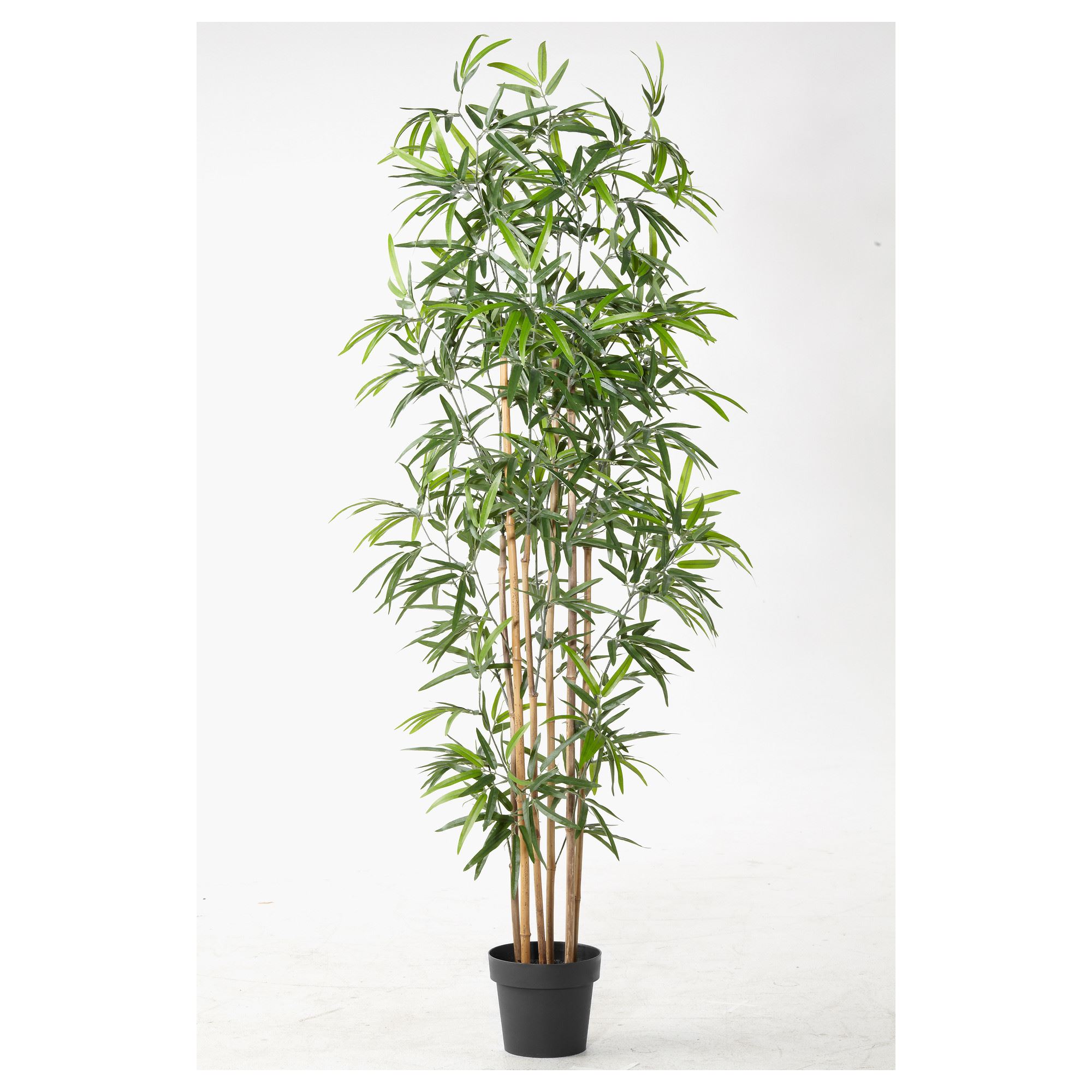 FEJKA yapay saksı bitkisi, bambu, 21 cm