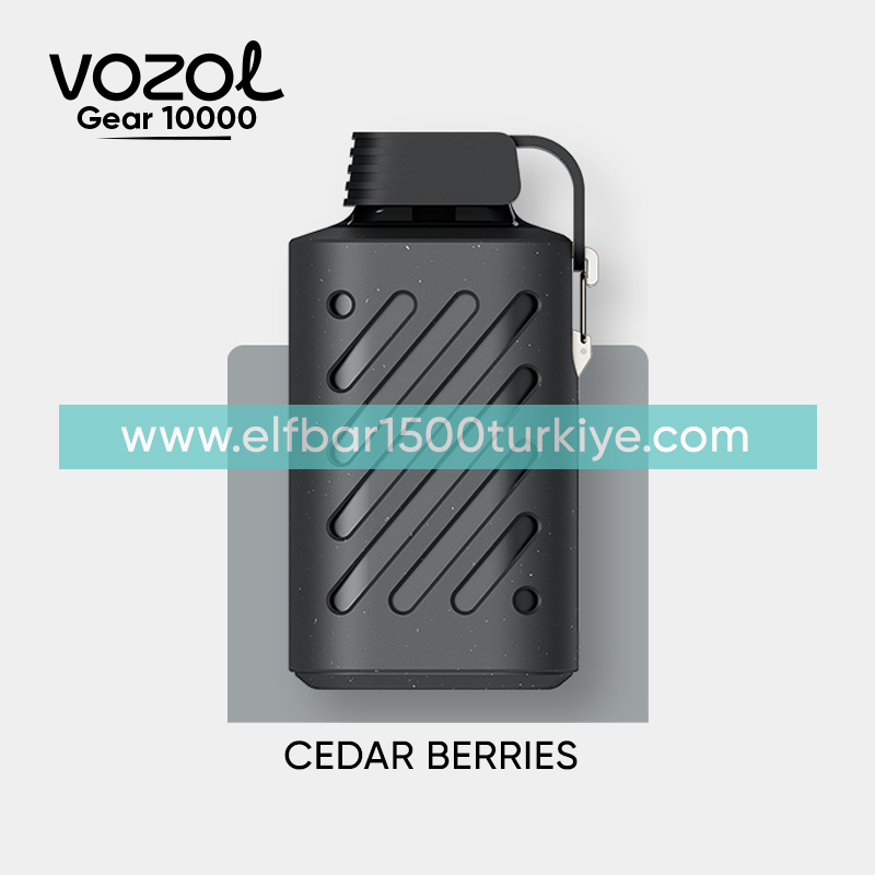 Vozol Gear 10000 Cedar Berries