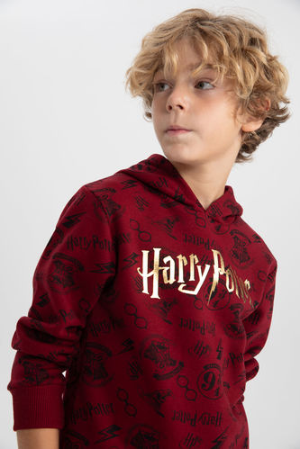 Bordo Erkek Çocuk - Genç Erkek Erkek Çocuk Harry Potter Regular Fit Kapüşonlu Sweatshirt 2927478
