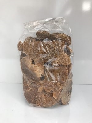 Mushrooms Sponge 500 Gr Paket - Çiçekli Bitkiler