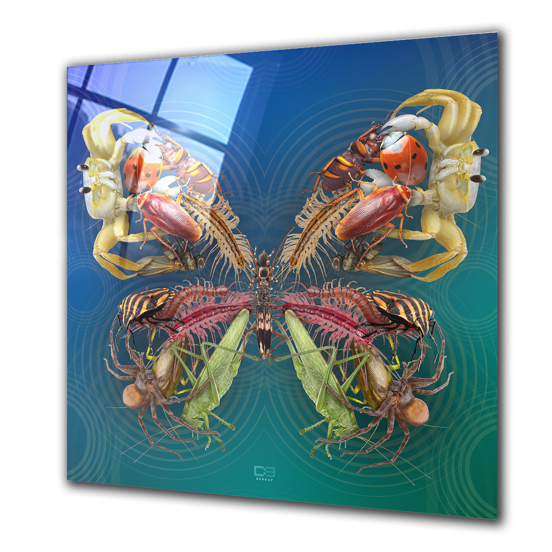 Butterfly Insect – Barlowa Store