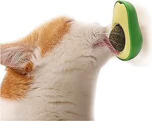 Kedi Nanesi Avokado Top Oyuncak Kedi Oyuncağı Arkası Yapışkanlı Kedi Oyuncağı Sindirim Düzenleyici Rahatlatıcı Kedi Nanesi Catnip Kediler İçin Yalama Topu : Evcil Hayvan Ürünleri