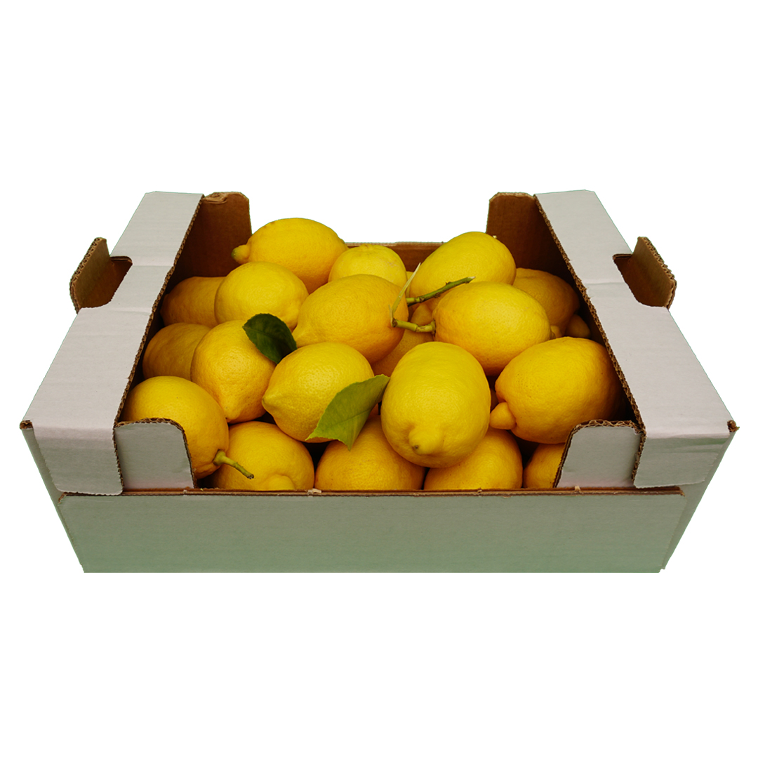 Limon Paketi 10 Kg  ve Siparişi